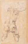  – Image Gallery