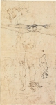  – Image Gallery