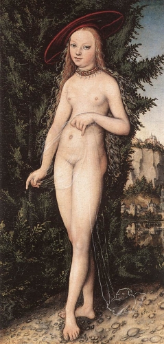 – Image Gallery