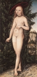 – Image Gallery