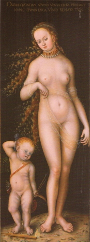 – Image Gallery