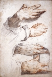  – Image Gallery